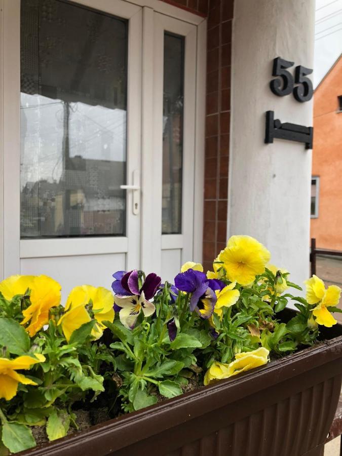Krin Apartman Subotica Bagian luar foto